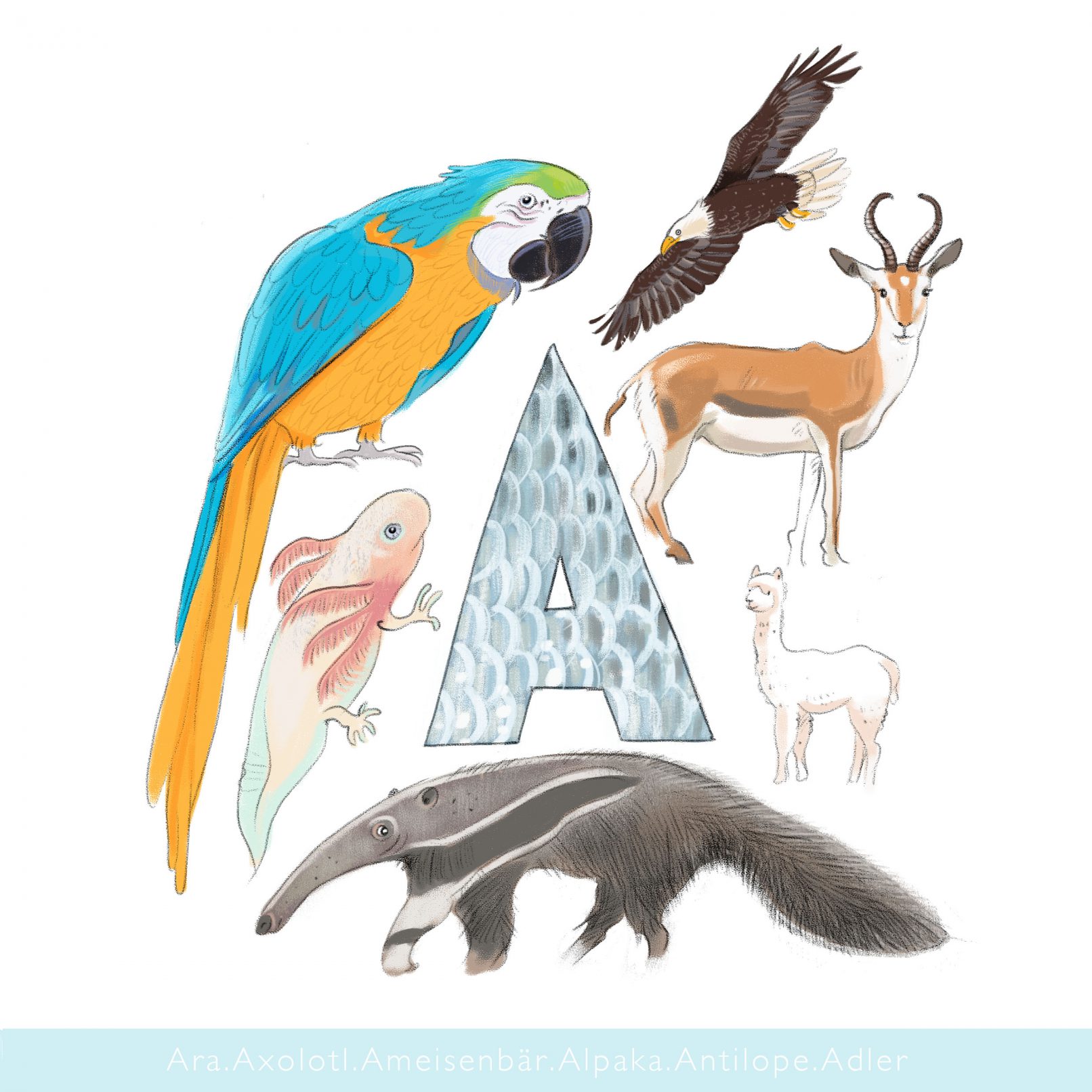 Eve Jacob Illustration